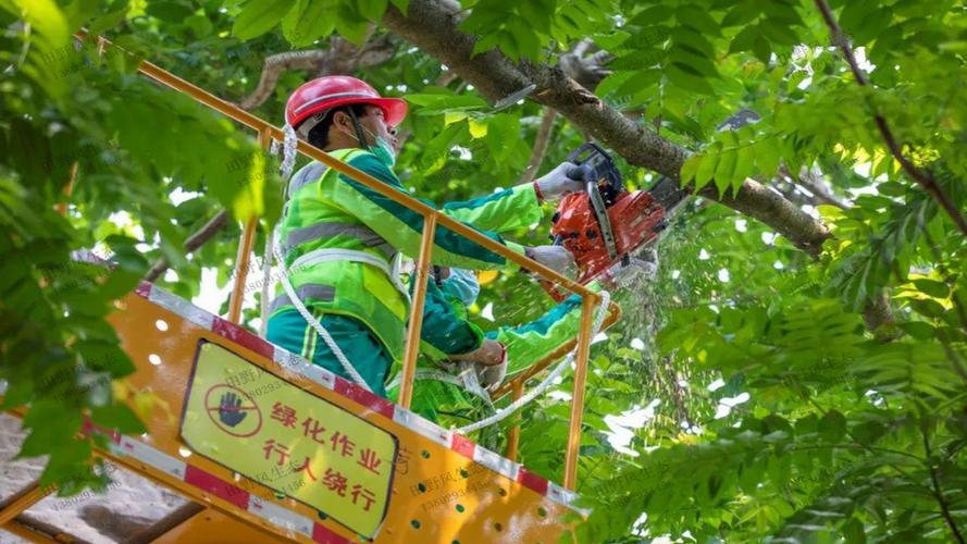 沅江城市绿化养护技术规范及等级标准