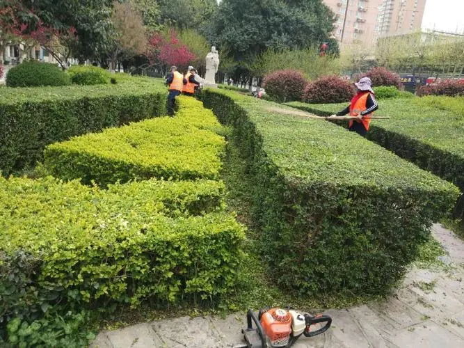 上海景致绿化工程