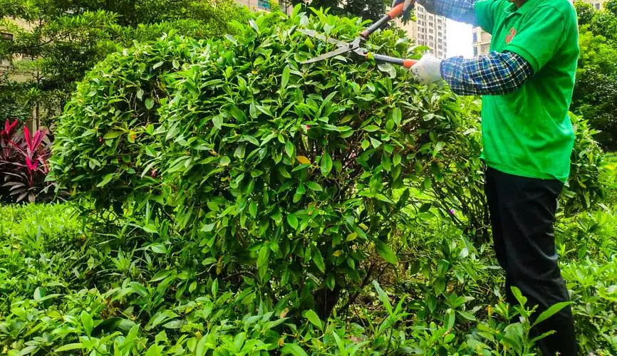 国内园林景观设计专家