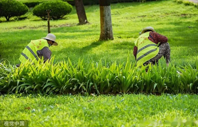 山东园林绿化工程项目管理软件